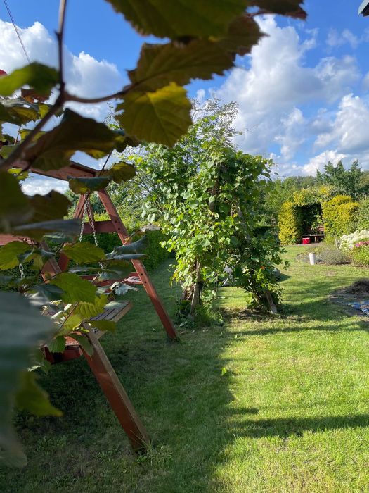 Działka rod Szczecin Śródmieście, ul. Tenisowa. Zdjęcie 6