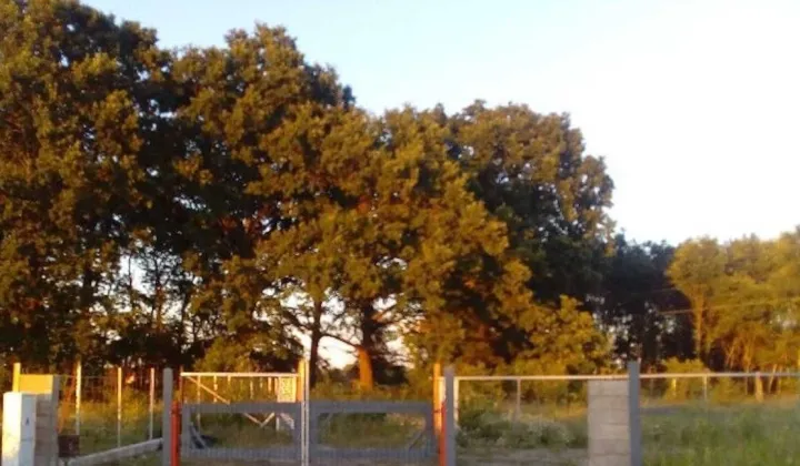 Działka budowlana Kliniska Wielkie, ul. Bażancia