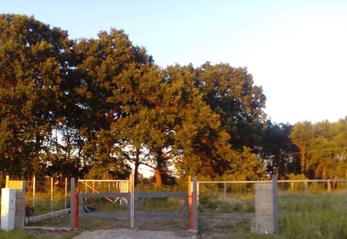 Działka budowlana Kliniska Wielkie, ul. Bażancia. Zdjęcie 1