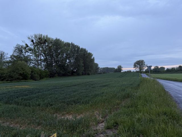 Działka budowlana Nowe Linie. Zdjęcie 1