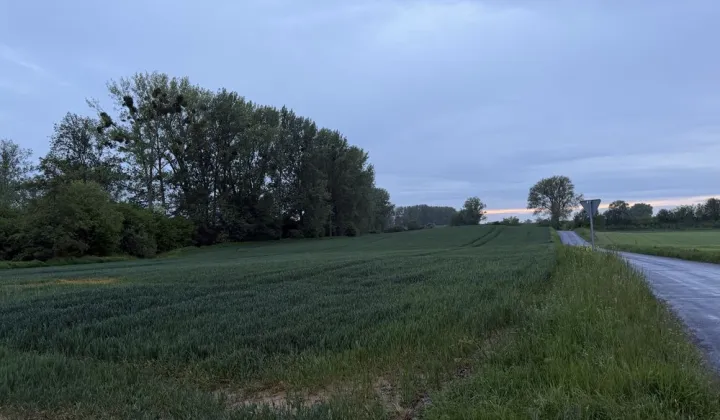 Działka budowlana Nowe Linie