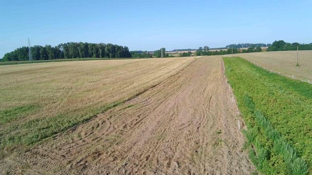 Działka rolna Golczewo. Zdjęcie 1