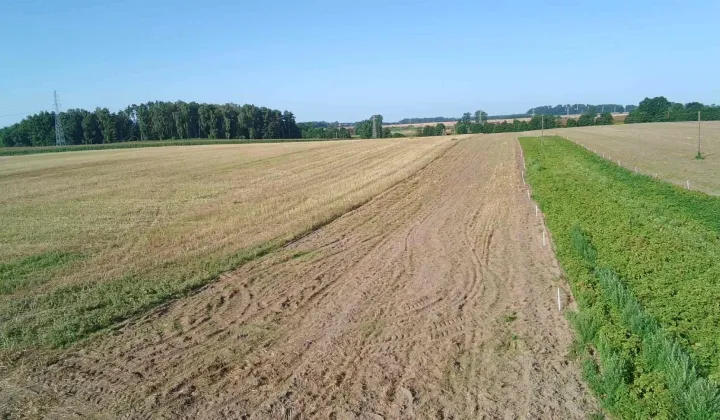 Działka rolna Golczewo
