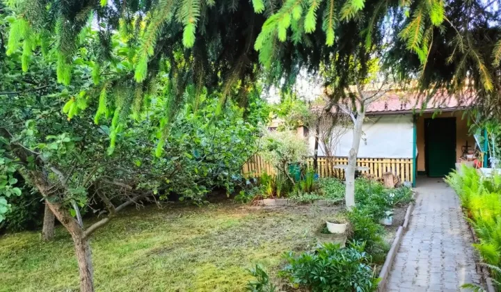 Działka rod Chorzów Maciejkowice