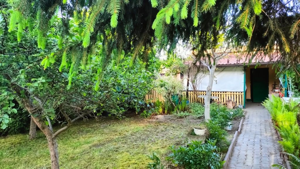 Działka rod Chorzów Maciejkowice