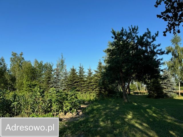 dom wolnostojący, 3 pokoje Budy Ciepielińskie. Zdjęcie 6