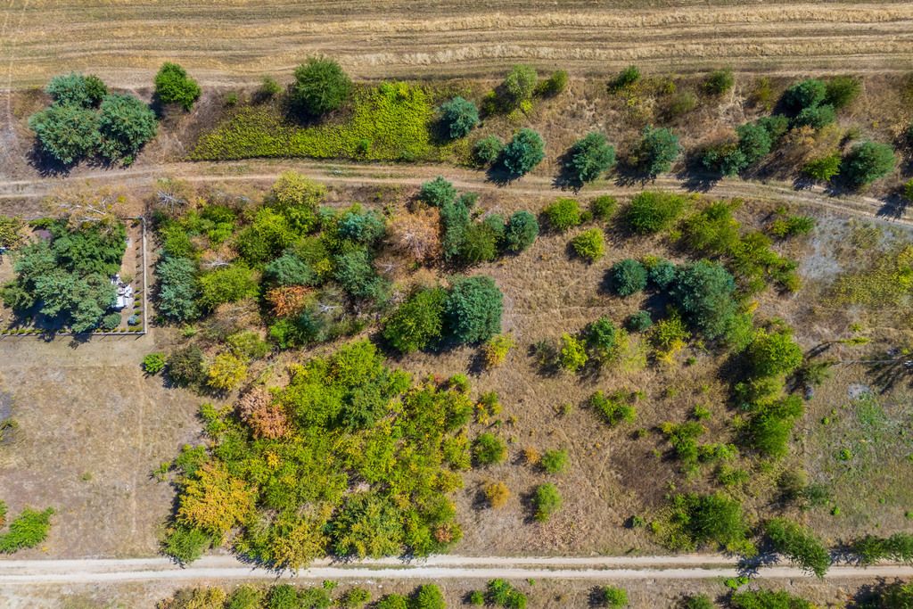 Działka budowlana Kiełpin, ul. Jesionowa. Zdjęcie 7