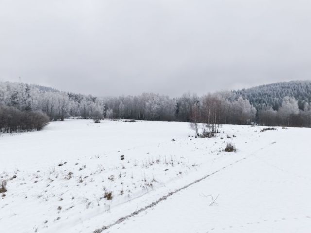 Działka budowlana Kurów. Zdjęcie 1