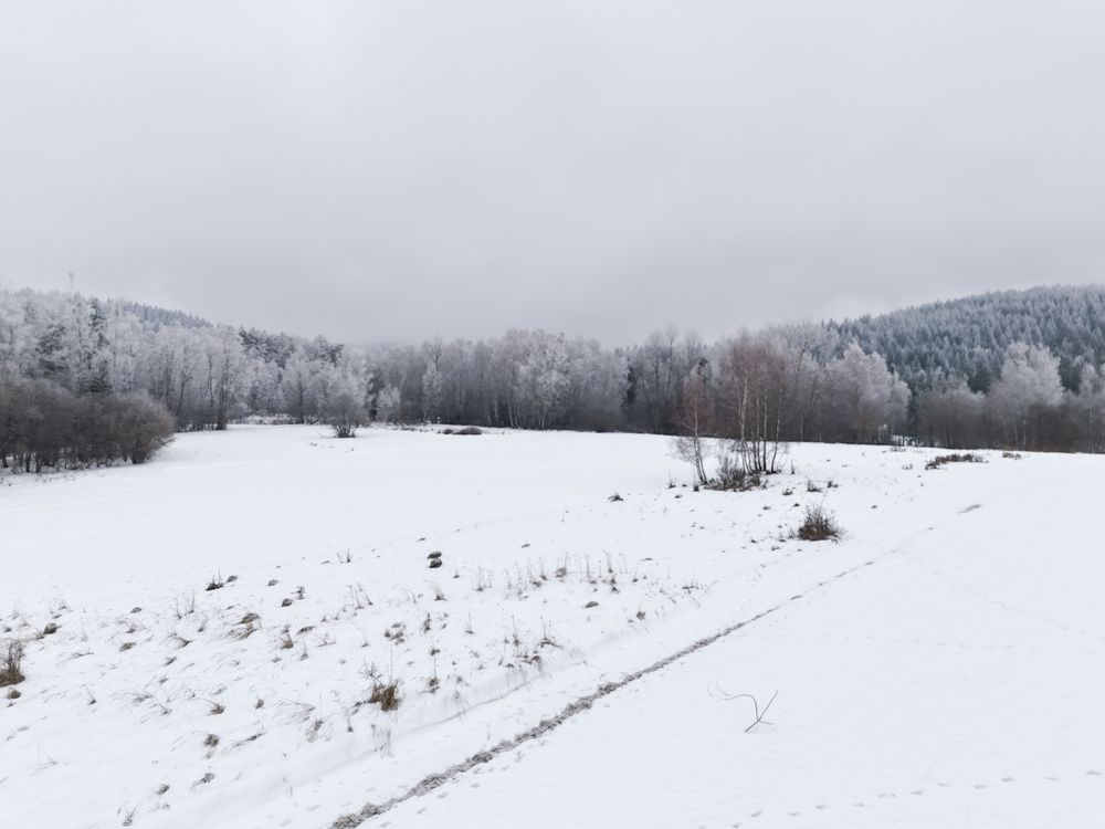 Działka budowlana Kurów. Zdjęcie 1