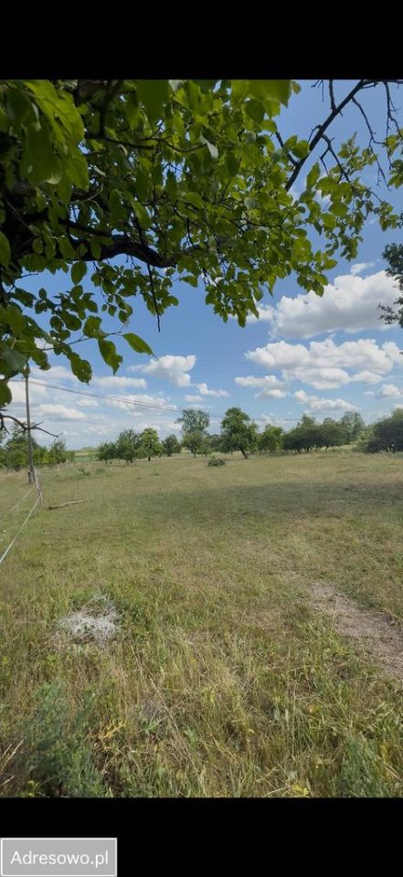 Działka siedliskowa Bałdrzychów. Zdjęcie 5