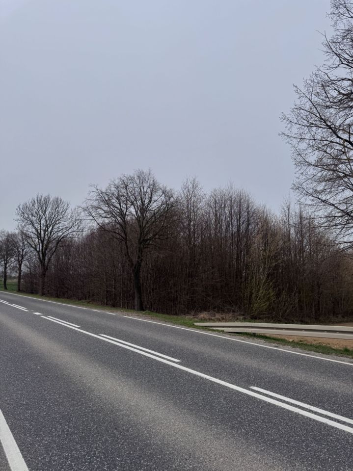 Działka rolna Marcinkowice. Zdjęcie 6