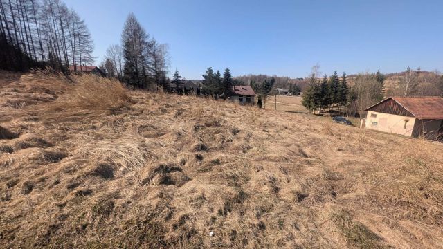 Działka budowlana Przybówka. Zdjęcie 1