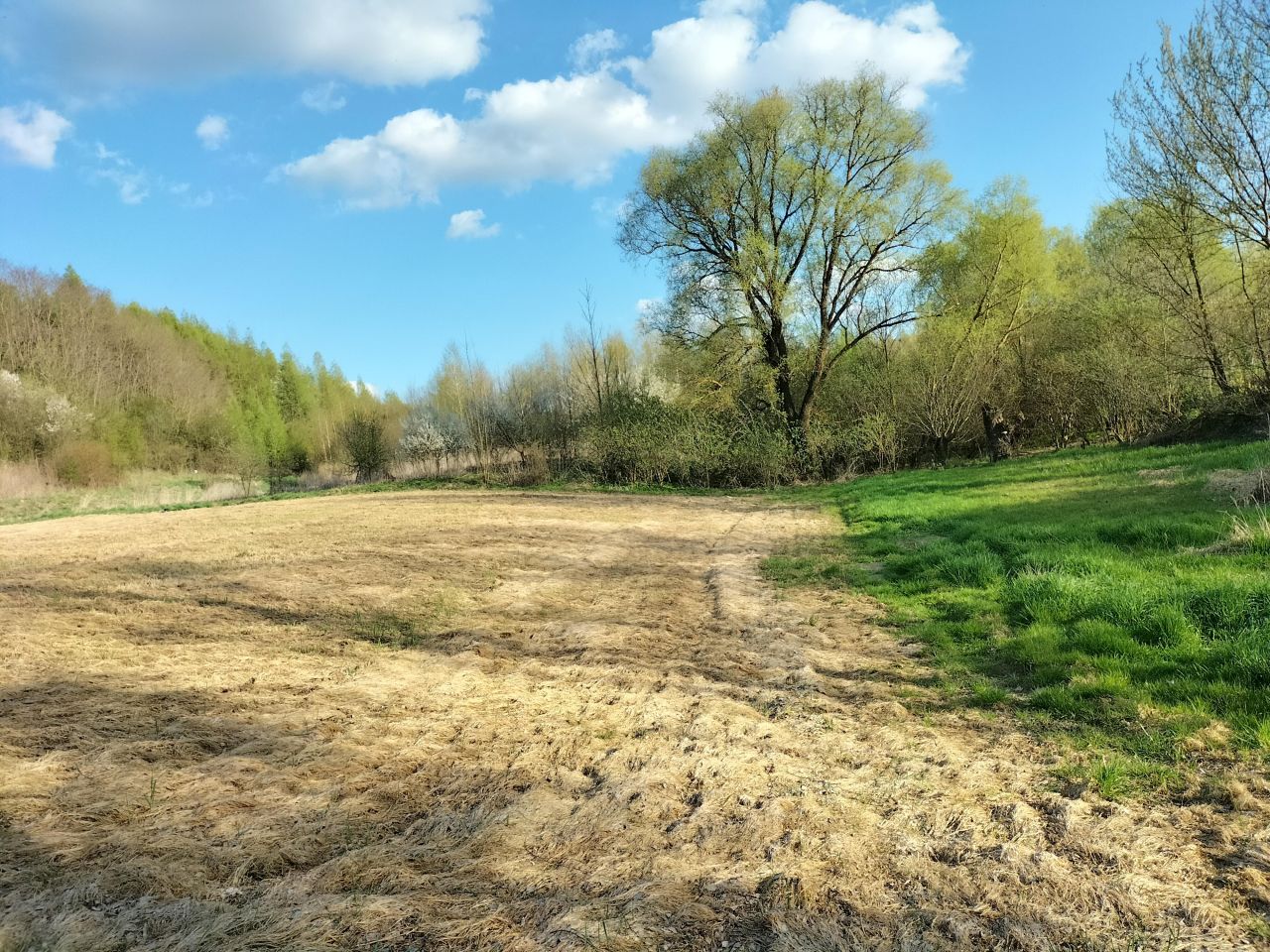 Działka rolna Kościejów, droga po działce 682. Zdjęcie 2