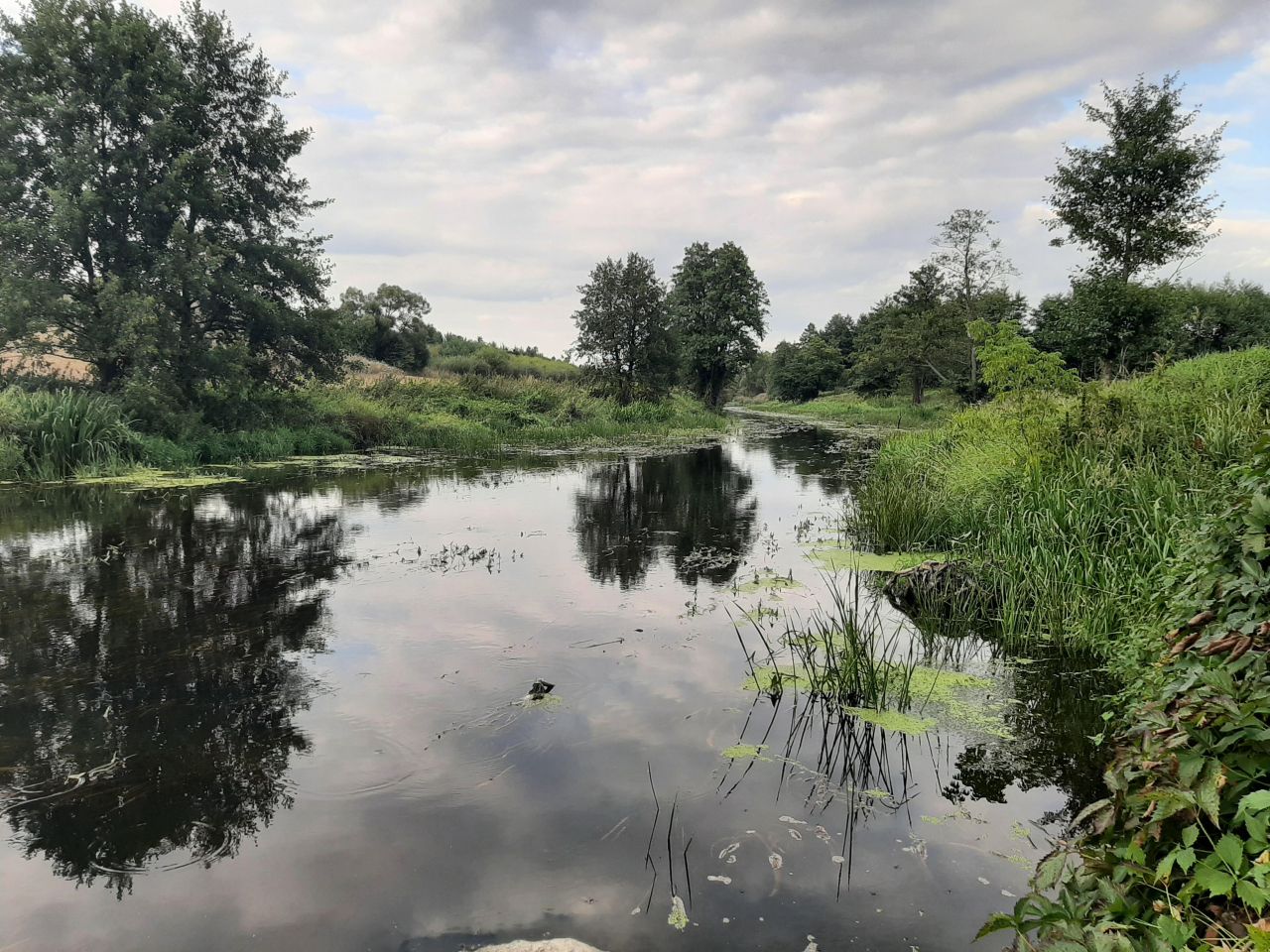Działka budowlana Żurawinek. Zdjęcie 6
