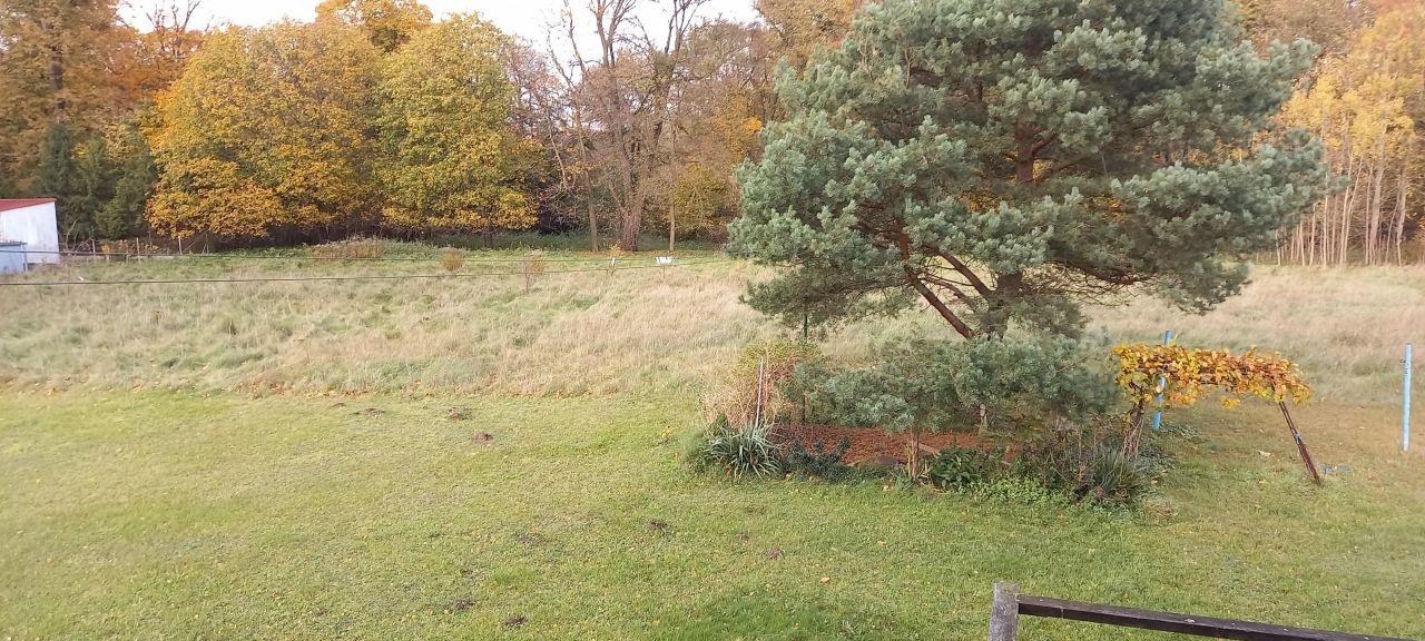 Działka budowlana Reda Pieleszewo, ul. Łososiowa. Zdjęcie 4