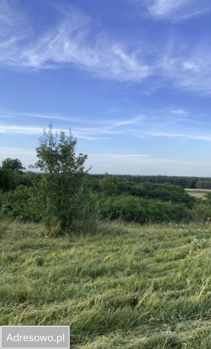Działka rolna Strzemeszno. Zdjęcie 3