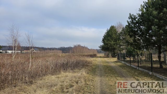 Działka siedliskowa Lipków. Zdjęcie 1