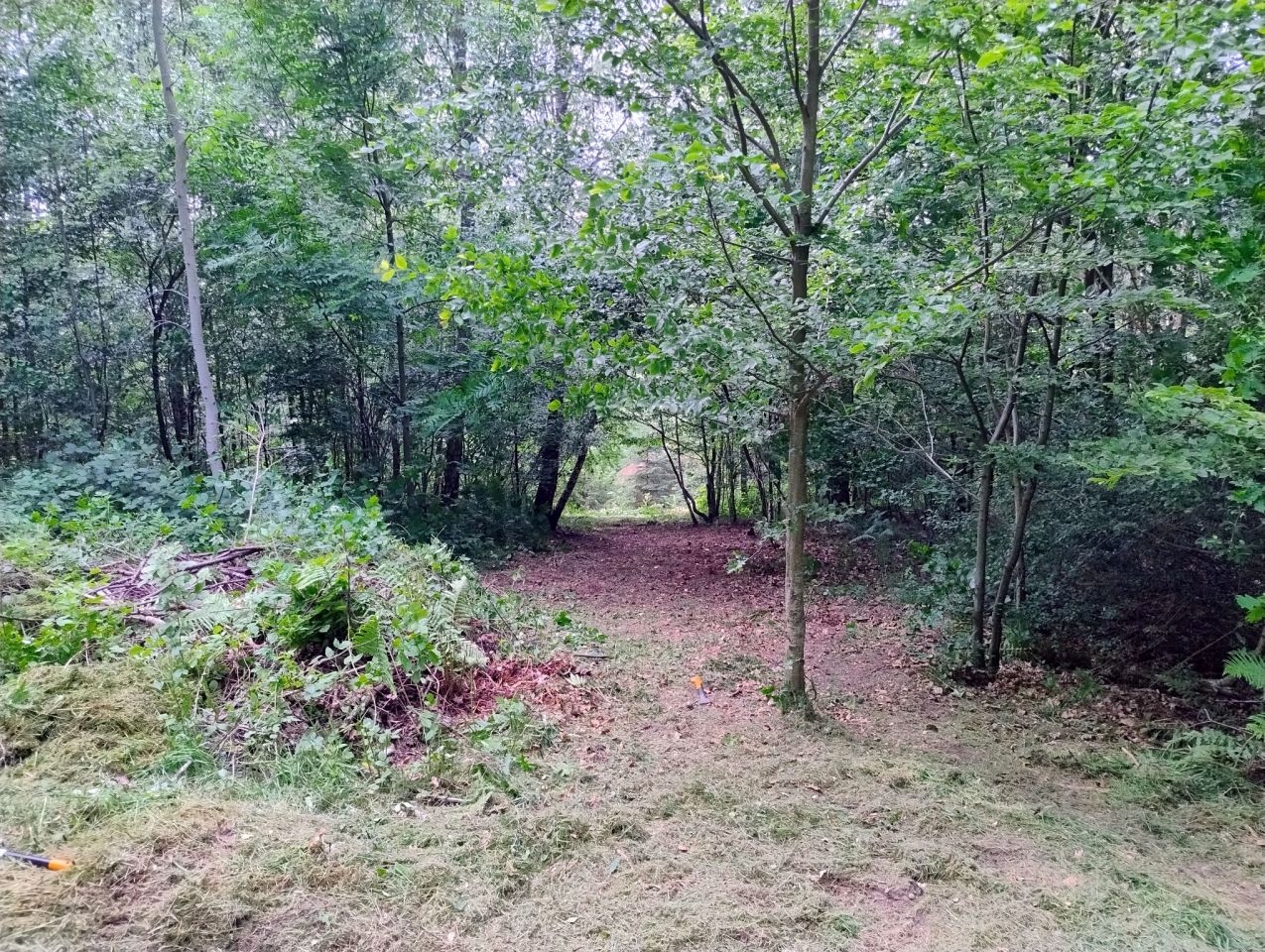 Działka rolna Brodnica Dolna, ul. Rybacka. Zdjęcie 14