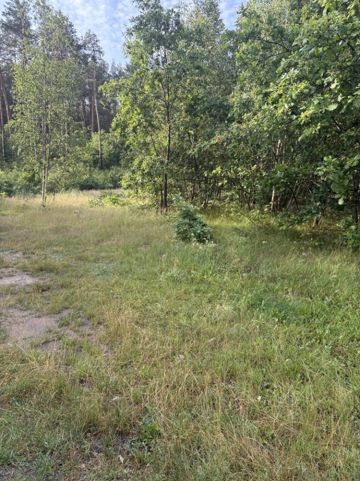 Działka budowlana Olszowe. Zdjęcie 6