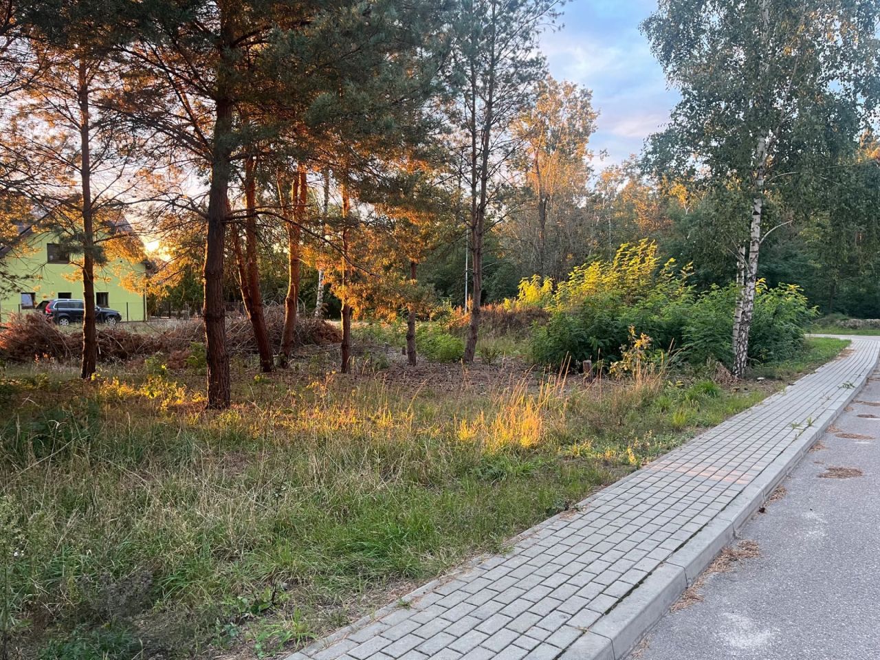 Działka budowlana Domaniewice, ul. Brzozowa. Zdjęcie 8