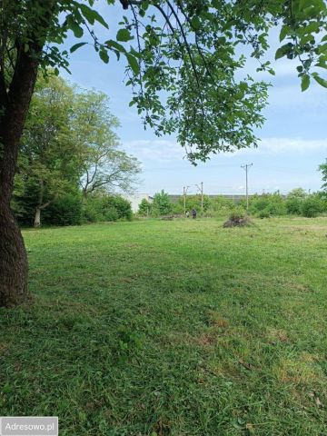 Działka rolna Oleśnica Lucień, ul. Wikliniarska. Zdjęcie 1
