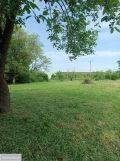 Działka rolna Oleśnica Lucień, ul. Wikliniarska