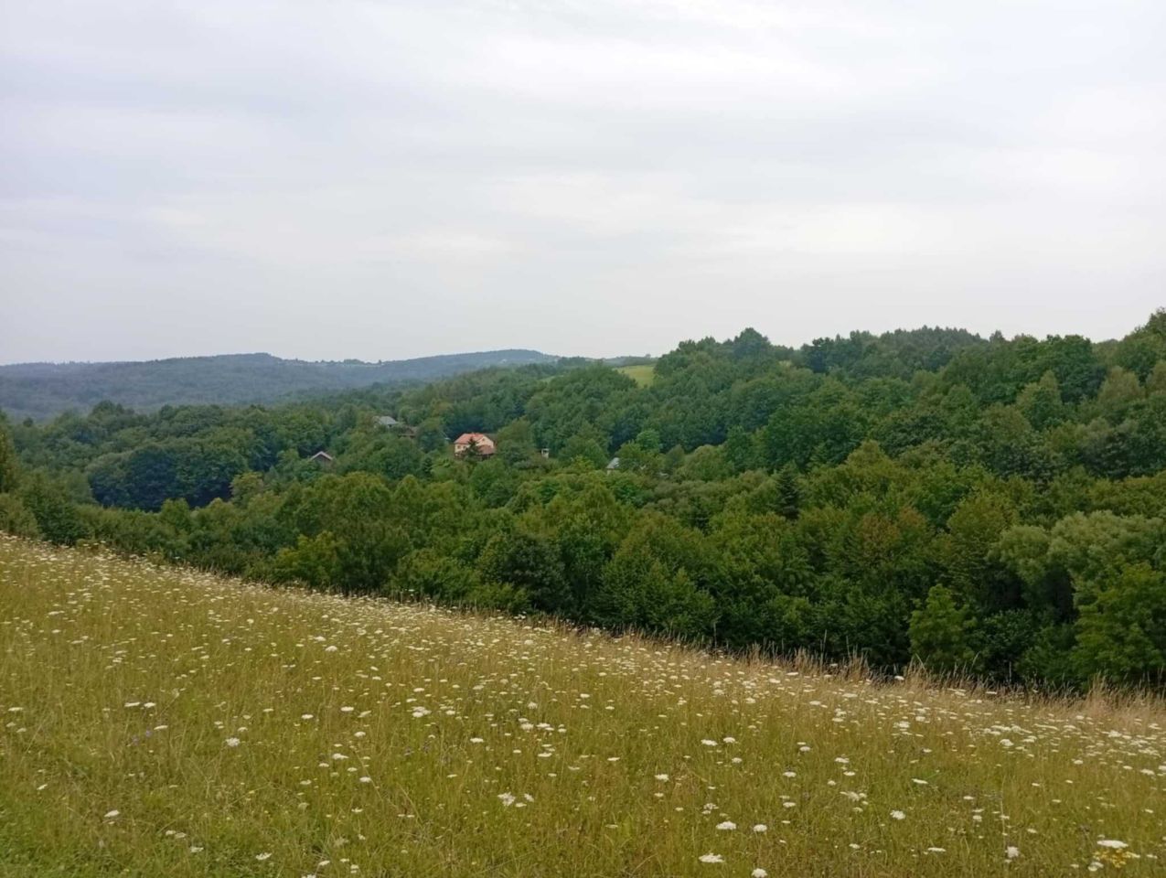 Działka rolna Domaradz. Zdjęcie 5