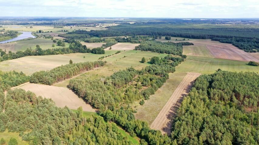 Działka rolna Osetno. Zdjęcie 9