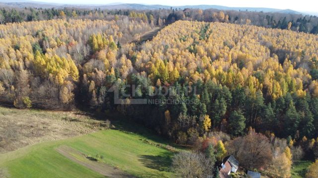 Działka rolna Cisów. Zdjęcie 4