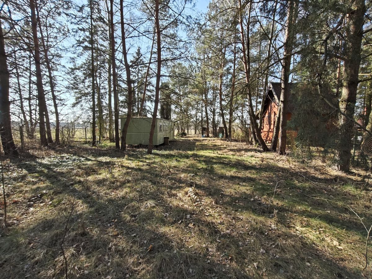 Działka budowlana Nowe Załubice, ul. Szumiących Traw. Zdjęcie 8