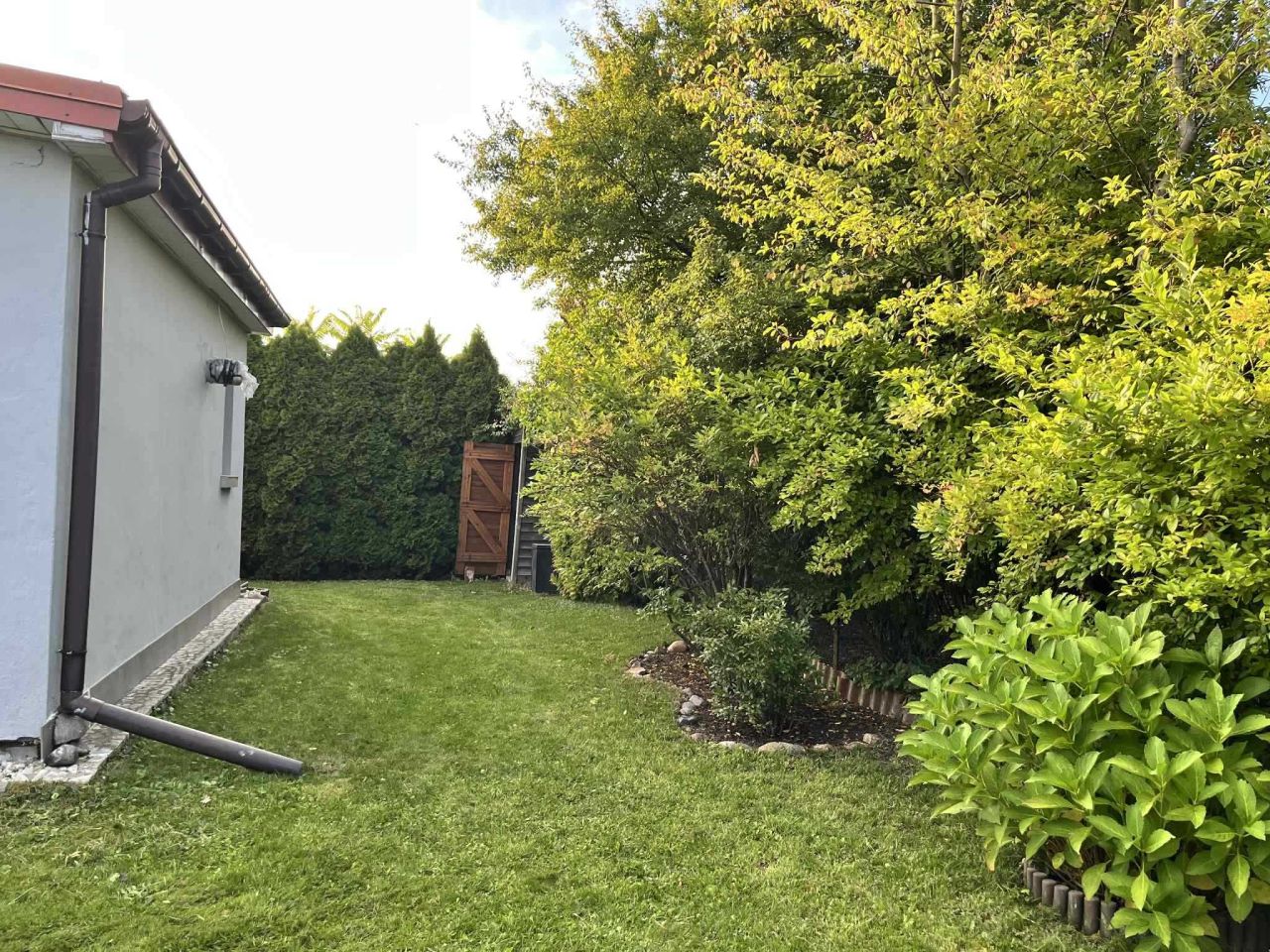 Działka rod Szałe. Zdjęcie 6