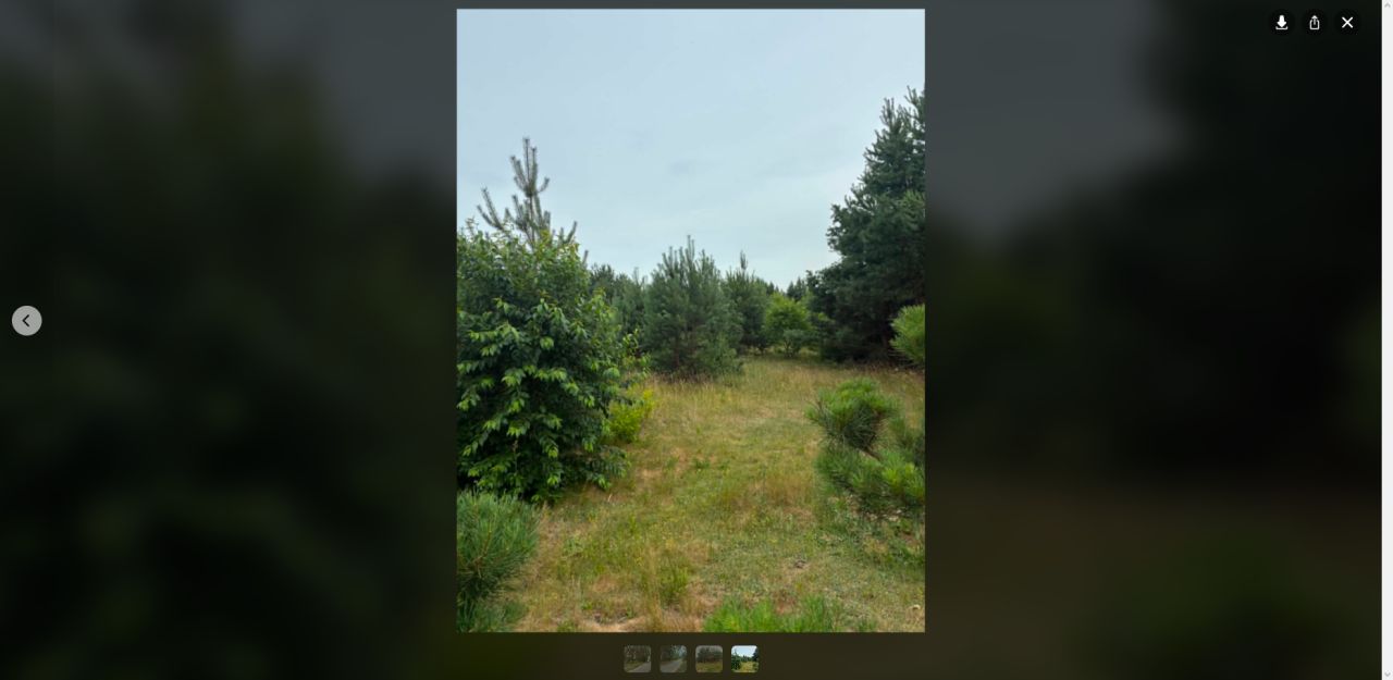 Działka rekreacyjna Łęcino. Zdjęcie 5
