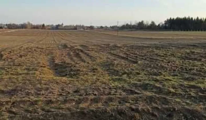Działka budowlana Nasutów