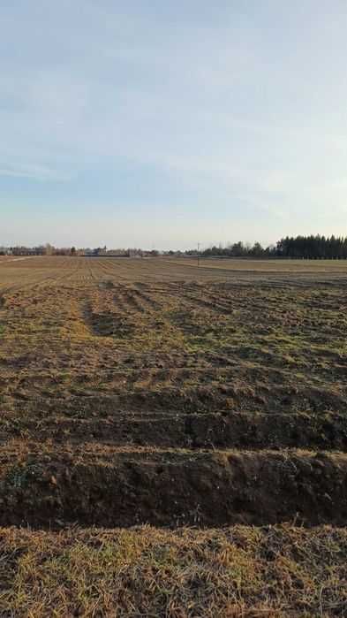 Działka budowlana Nasutów. Zdjęcie 1