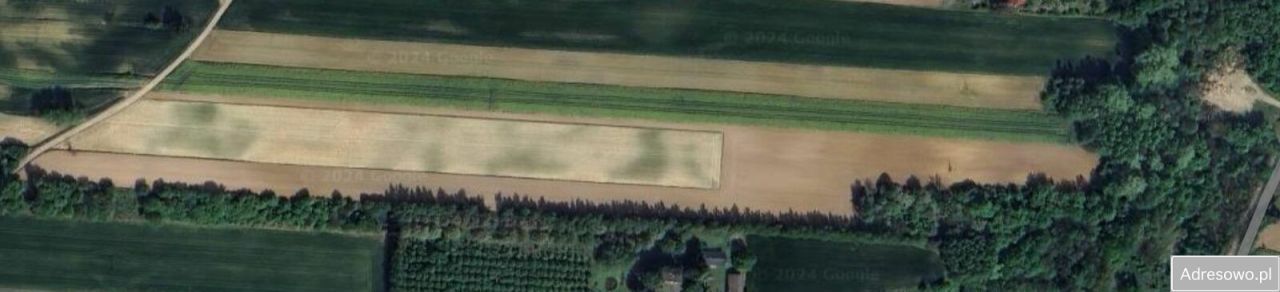 Działka rolna Rzuchów. Zdjęcie 3