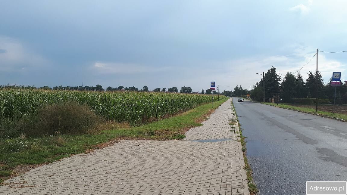 Działka siedliskowa Sieciechów. Zdjęcie 3