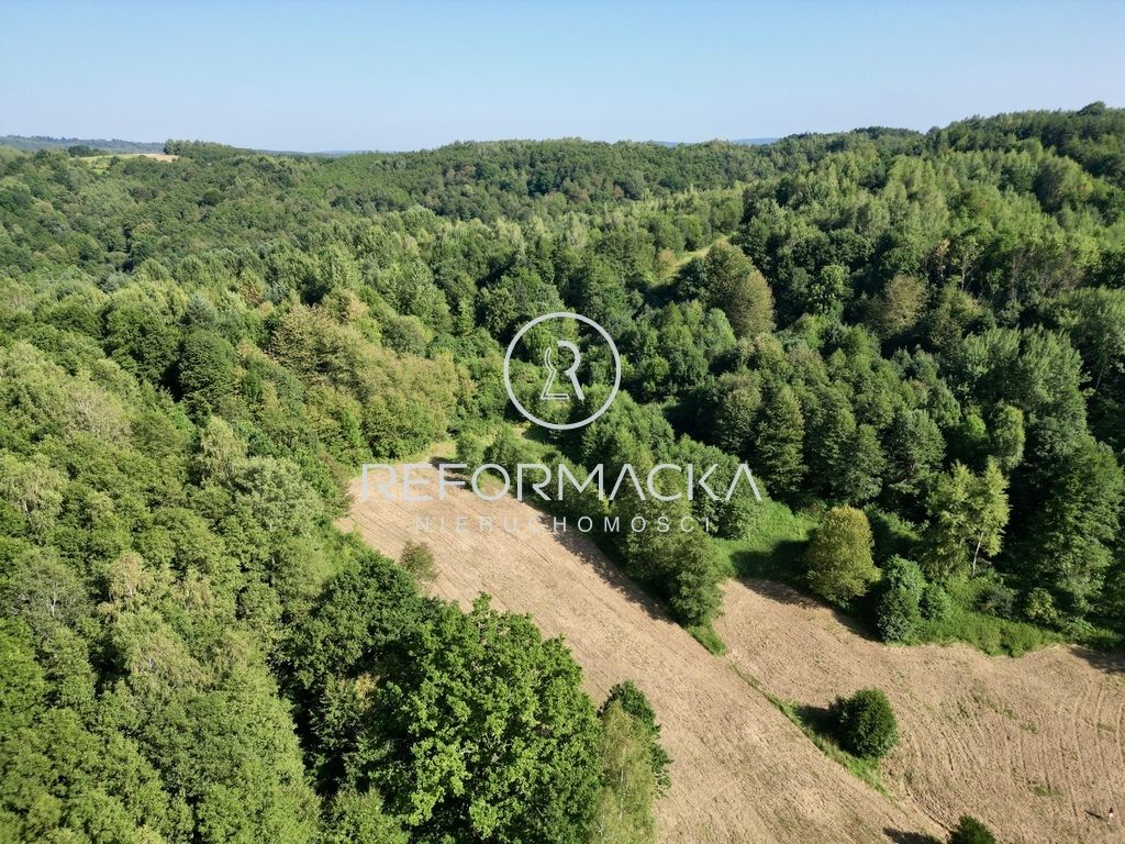 Działka rolna Dubiecko. Zdjęcie 7