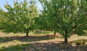 Działka rolna Rzeczyca Mokra