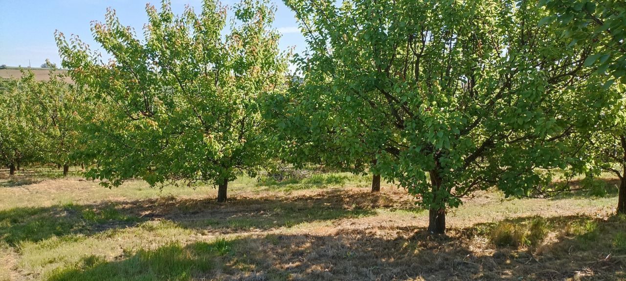 Działka rolna Rzeczyca Mokra