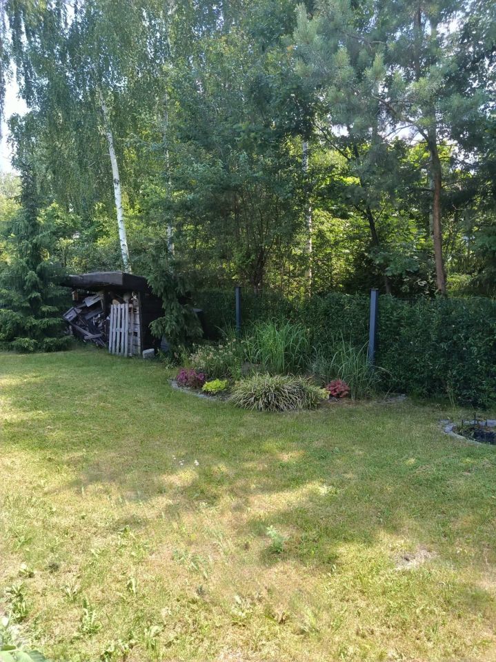Działka rod Sosnowiec, ul. Społeczna. Zdjęcie 4