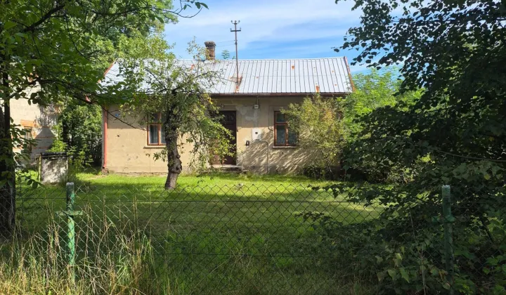 dom wolnostojący Borki Nizińskie