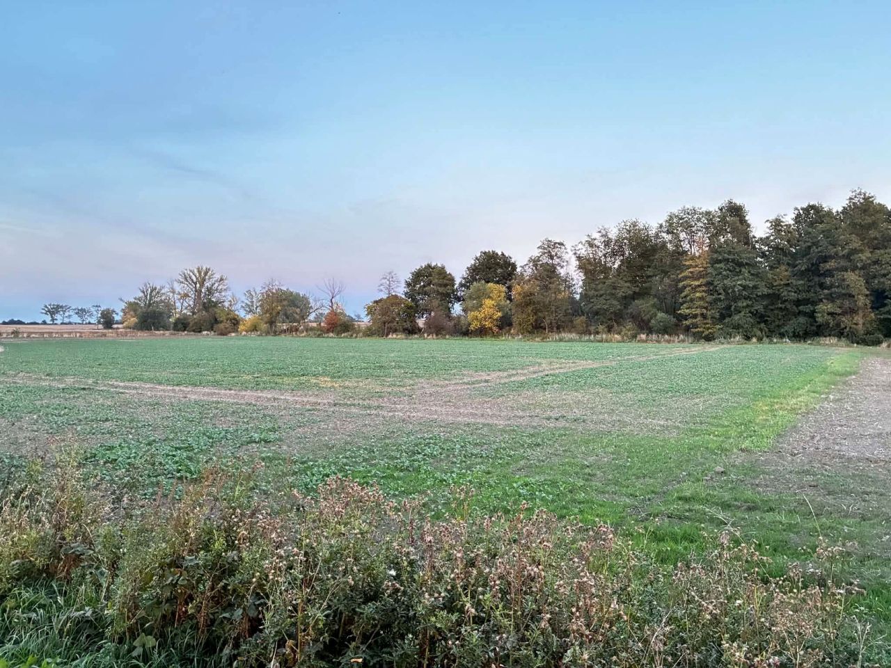 Działka rolna Tyniec Legnicki. Zdjęcie 1