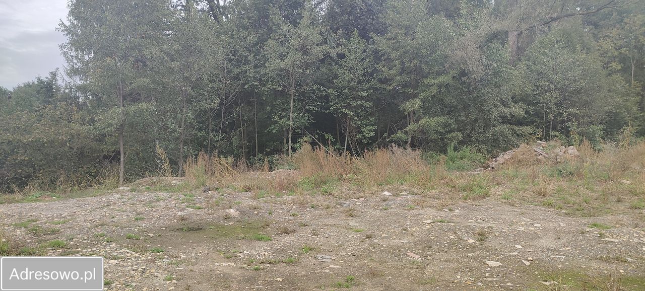 Działka budowlana Gołkowice, ul. Podlaska. Zdjęcie 4