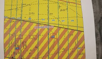 Działka rolno-budowlana Tarło-Kolonia