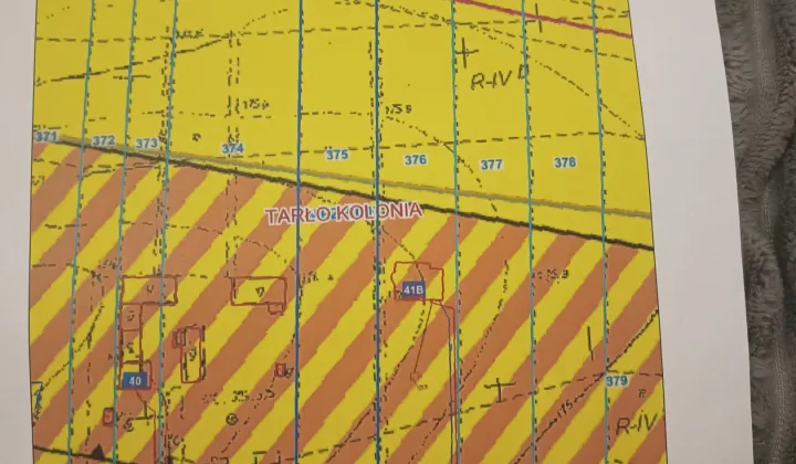 Działka rolno-budowlana Tarło-Kolonia