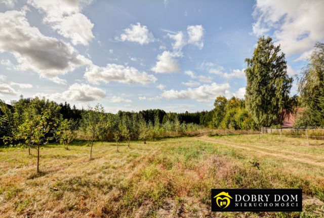 dom wolnostojący, 2 pokoje Słomianka. Zdjęcie 6