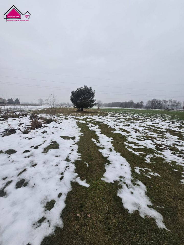 Działka budowlana Tręby Stare. Zdjęcie 2