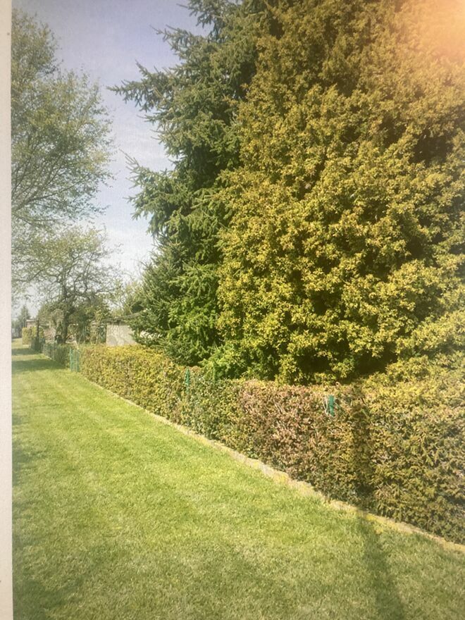 Działka rod Leszno. Zdjęcie 2