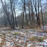 Działka rolna Bieszków Dolny. Zdjęcie 4
