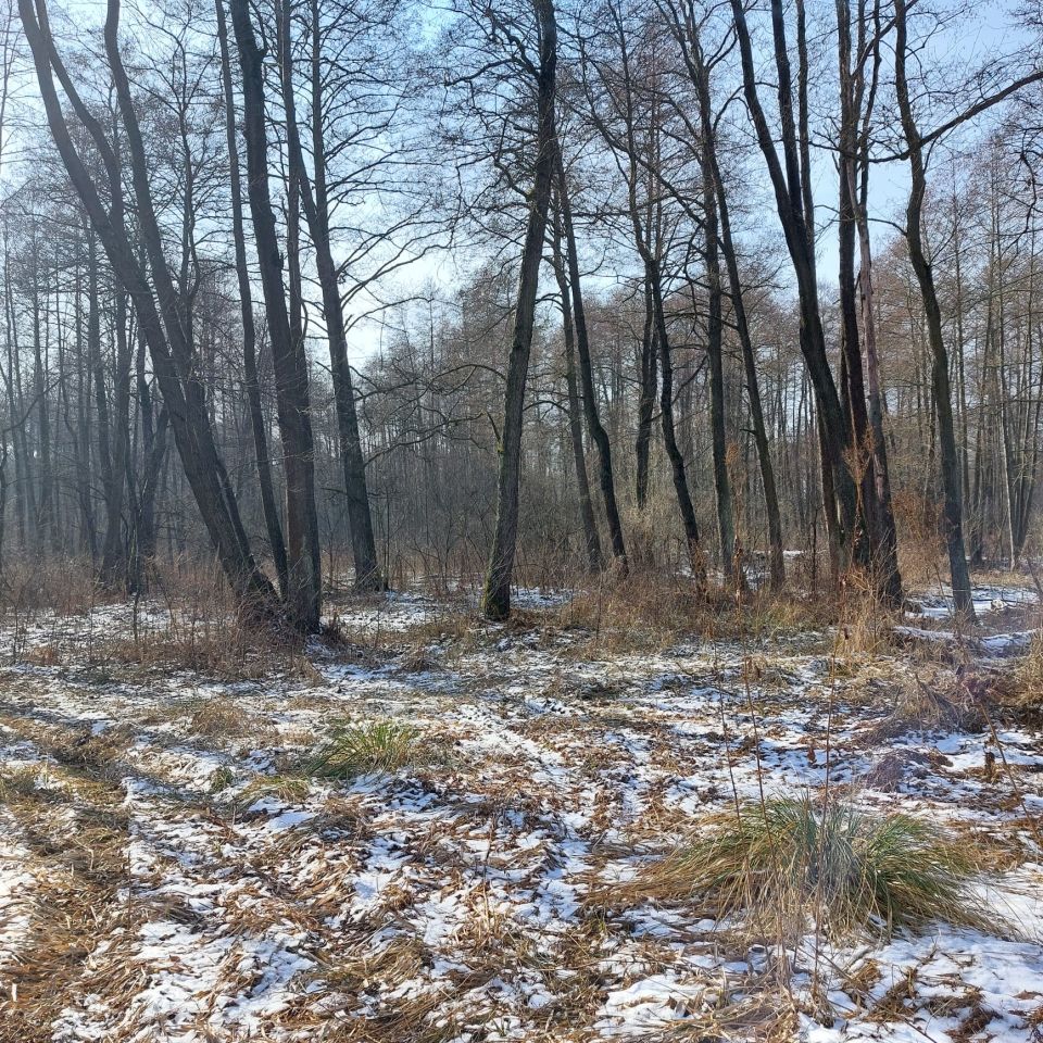 Działka rolna Bieszków Dolny. Zdjęcie 5